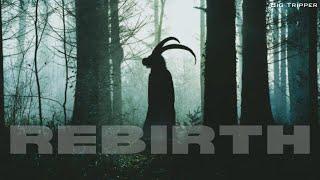 Rebirth - A Datura Stramonium Trip Report