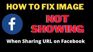 facebook debugger: How to fix it Image not showing when sharing url on facebook-with debugger