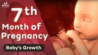 7 Month Pregnancy Baby Growth | 7 Month Pregnancy Baby Movement | Mylo Family