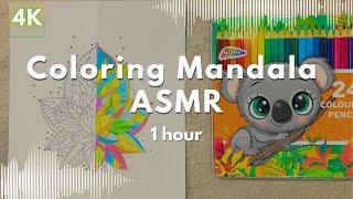 Pencil Sounds ASMR (1 HOUR) | Coloring Book Mandala | No Talking | 연필 소리 | Sleep & Focus