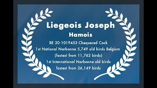 Liegeois Joseph ( Hamois ) - 1st International Narbonne old birds ( fastest from 26,149 birds ) 2022