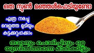 വെറും മഞ്ഞൾപൊടികൊണ്ട് നരച്ചമുടി എന്നന്നേയ്ക്കുമായി കട്ടകറുപ്പാക്കാം|Homemade hair dye|Natural dye