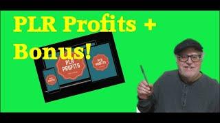 PLR Profits Product |  Check Out My Special Custom Bonus