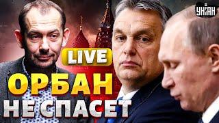 ️МИРНОЕ РЕШЕНИЕ! Путина дожимают: он попал в украинский капкан. Орбан не спасет /Цимбалюк LIVE