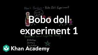 Observational learning: Bobo doll experiment and social cognitive theory | MCAT | Khan Academy