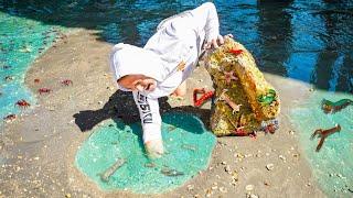 Searching For SEA CREATURES Under Hidden Beach Rocks!