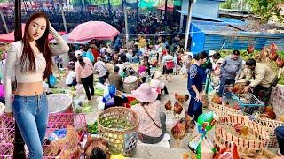 TRỜI ƠI KHÔNG NGỜ CHỢ PHIÊN Ở TRUNG QUỐC LẠI BÁN NHIỀU ĐẶC SẢN LẠ ĐẾN VẬY | CHỢ KIM THUỶ HÀ, VÂN NAM