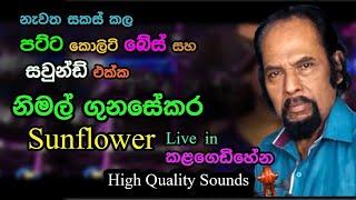 Nimal gunasekara with Sunflowers | Live in Kalagedihena | Re Created  Sounds