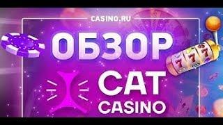 Cat Casino! Кэт казино обзор на официальный сайт и промокод в подарок