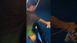 Strike tuna || trip team pandemi fishing km.armada #pandemifishing #mancing #fishing #jiging