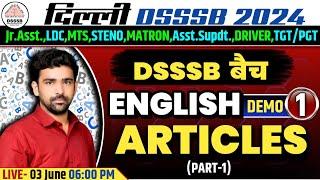 DSSSB LDC/MTS/MATRON/STENO/DRIVER/TGT/PGT 2024 | ENGLISH CLASSES | ARTICLES | ENGLISH DEMO 1