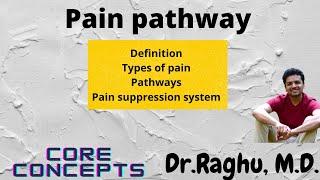 Pain pathway | Pain physiology | Pain suppression system | Gate control theory | Neurophysiology