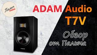 Studio monitor ADAM Audio T7V || Review from Palych