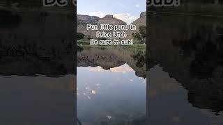 Pond in Helper Utah #fishing #asmr #nature #funny #foryou #shorts