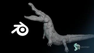 Crocodile Anatomy Modeling In Blender (Base #1)