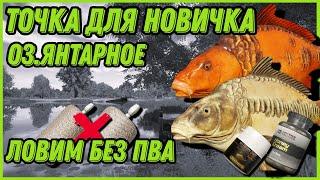 НАЧАЛЬНАЯ ТОЧКА НОВИЧКА ДЛЯ ЛОВЛИ КАРПА БЕЗ ПВА | АРХИВ От 11.05.24 | Янтарное | Русская Рыбалка 4