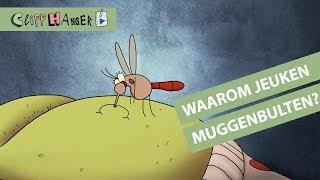 Waarom jeuken muggenbeten?