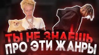 НОВЫЕ ЖАНРЫ В МУЗЫКЕ О КОТОРЫХ ТЫ МОГ НЕ ЗНАТЬ #5