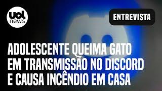 Discord: Adolescente queima gato e causa incêndio em casa; especialista: 'Não é caso isolado'