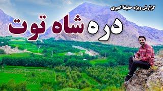 Shah Toot Valley in Hafiz Amiri Report / دره شاه توت در گزارش حفیظ امیری