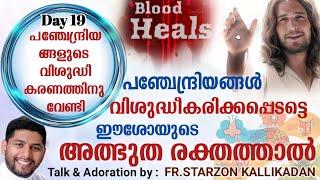 Day 19 - പഞ്ചേന്ദ്രിയങ്ങളുടെ വിശുദ്ധീകരണത്തിനു വേണ്ടി :33 ദിവസത്തെ രോഗശാന്തി പ്രാർത്ഥന Blood Heals