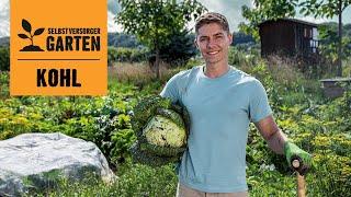 HORNBACH | Kohl anbauen