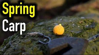 Carp Fishing - Late Winter/Early Spring - Syndicate Fishing