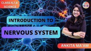 Introduction to the Nervous System | Class 6,7,8 | Science