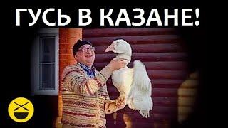 РЕЦЕПТ ГУСЯ В КАЗАНЕ! Потрясающий новогодний ГУСЬ! Только у Сталика!