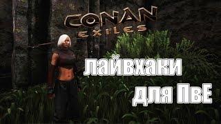 Conan Exiles гайд для новичков (лайвхаки)