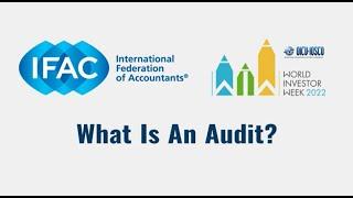 What is an Audit?