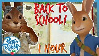 @OfficialPeterRabbit - ️ Back to School Compilation ️ | 1 HOUR | Cartoons for Kids