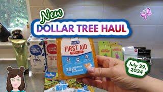 New Dollar Tree Haul From Maryland Stores! Everything I Bought Was $1.25! July 29, 2024
