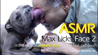 Max Licks | Face Part Deux | ASMR DOG LICKING | No Talking