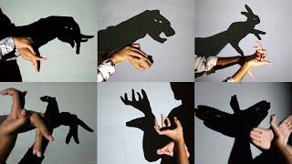 Hand shadow Performance III Make Animals By Hand shadow - Shadowgraphy - shadoes