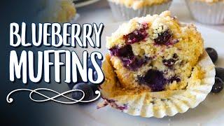 The BEST Blueberry Muffin Recipe on YouTube 🫐