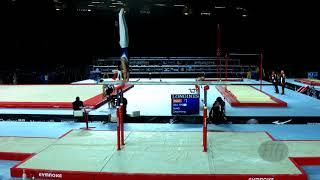 le Thanh Tung (VIE) - 2017 Artistic Worlds, Montréal (CAN) - Qualifications Parallel Bars