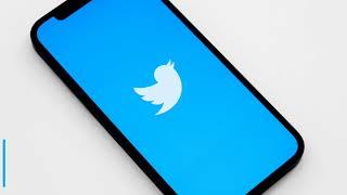 How to Delete Twitter Account Without Phone Number and Email Access