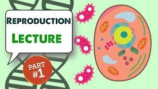 MCAT Biology Lecture: Reproduction (1/4)