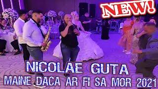 Nicolae Guta  Maine daca ar fi sa mor 2021  (HORA) @Nunta Maku & Frunza