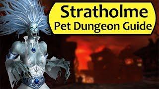 Stratholme Pet Battle Dungeon Complete Guide