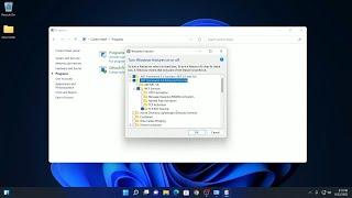 How to Enable .NET Framework 4.8 on Windows 11