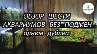 Шесть аквариумов на 550 л. без подмен одним дублем.