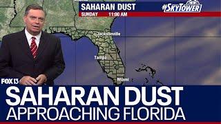 Tropics remain quiet with Saharan dust approaching Florida