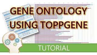 GENE ONTOLOGY using TOPPGENE - Free tutorial