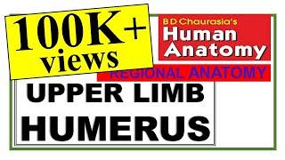 Chp2 | HUMERUS | Upper Limb Bones | BD Chaurasia Regional Anatomy | Dr Asif Lectures