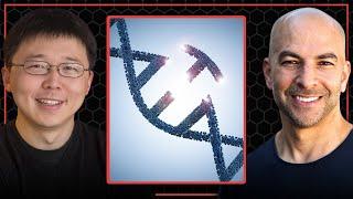 How CRISPR revolutionized the field of gene editing | Peter Attia and Feng Zhang