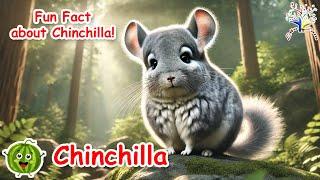 The Animal Sounds Song || Chinchilla || Kids Nursery Rhymes | Best Learning Song For Kid |  EduFam ~