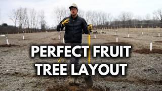 Pro’s Guide to Spacing Fruit Trees When Planting an Orchard