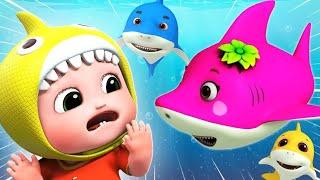 Baby Shark doo | kids songs | Rhymes for toddler | English nursery rhyme #babyshark #babysharkdance